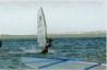 Windsurfing at Goolwa (click to enlarge)